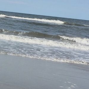 Meet your Posher, Isabella